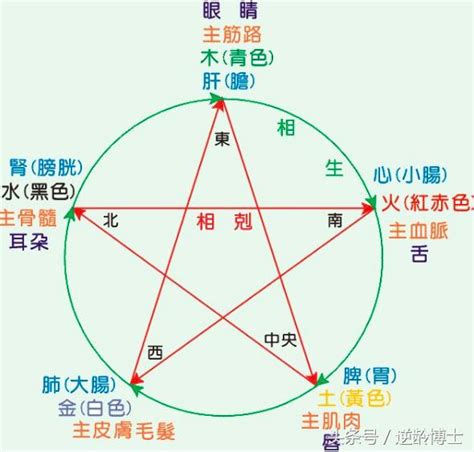 人的五行屬性|五行測試：你屬哪一行？